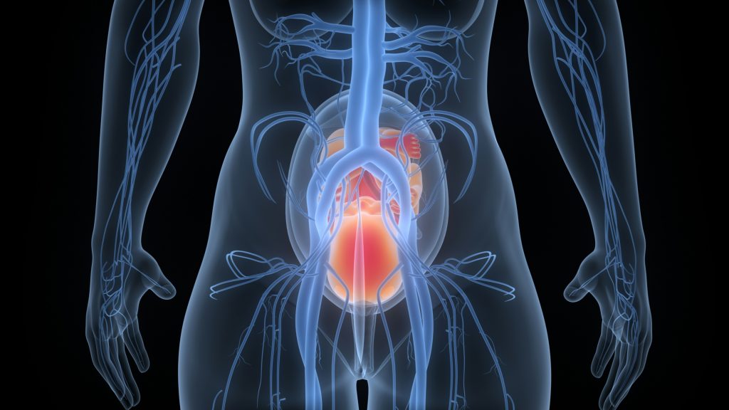 Hvad er en brok? Brok-kirurgi, Humanity Direct 