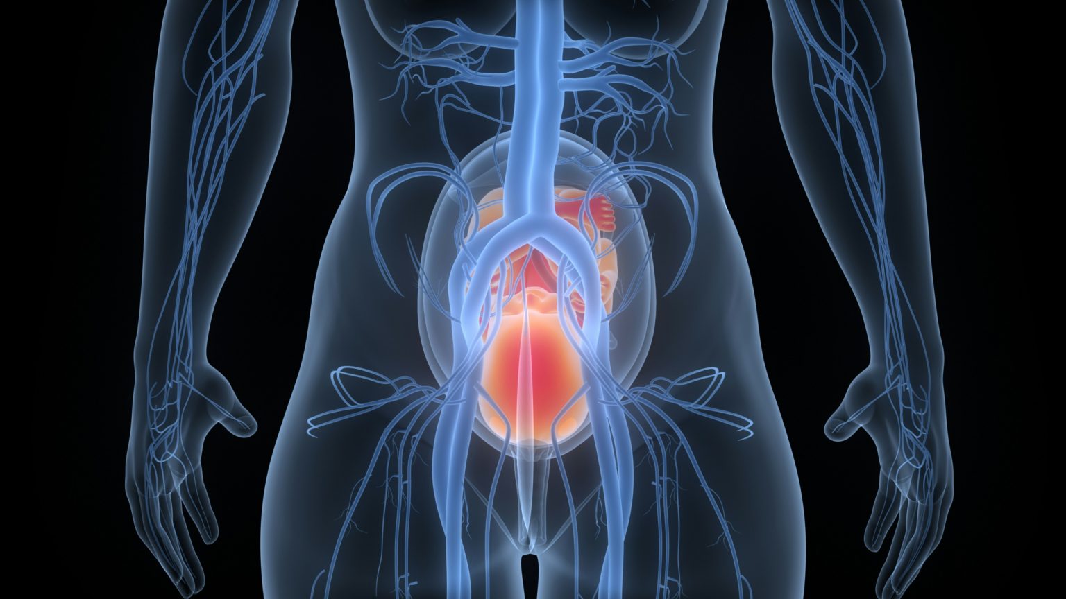 Hvad er en brok? Brok-kirurgi, Humanity Direct